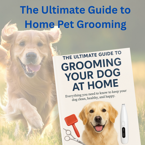 E-Book Grooming Your Dog At Home